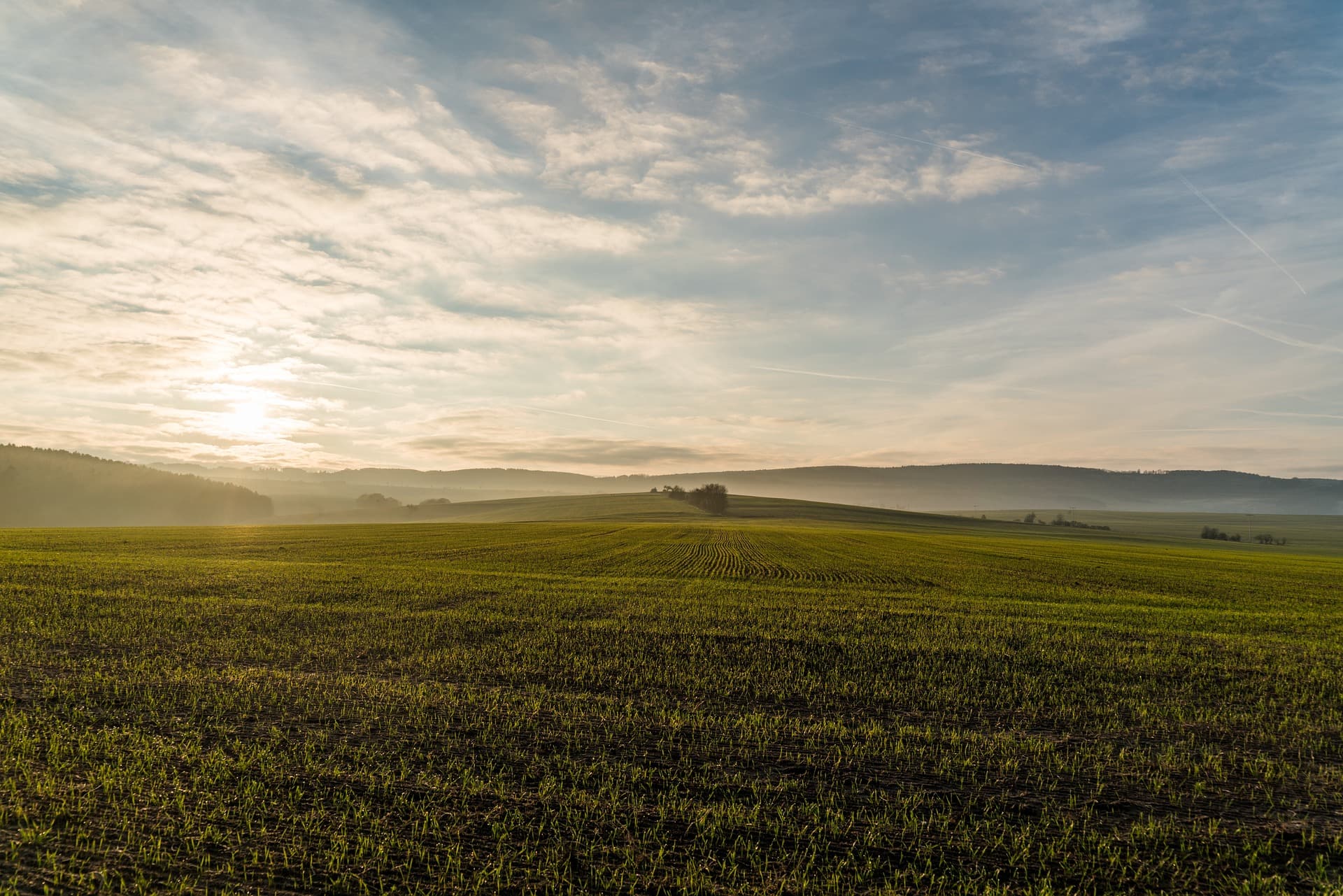 Hero Image of countryside